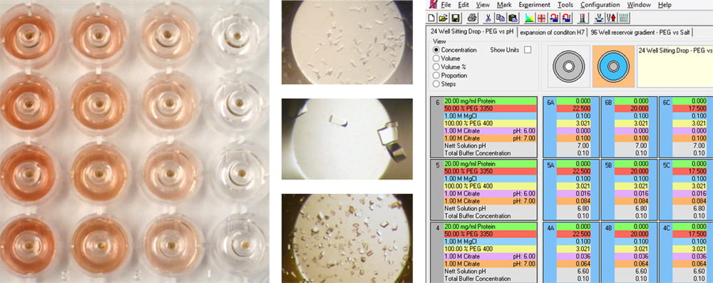 XSTEP optimization software for protein crystallization multivariate experiment design